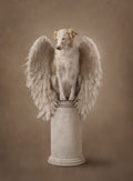 My Guardian