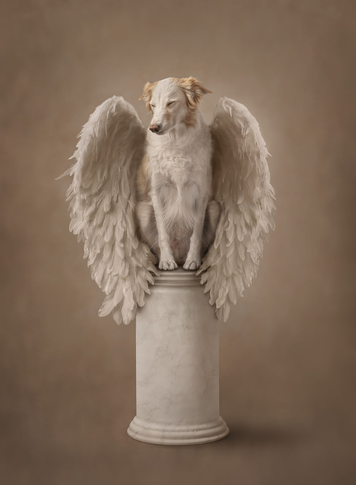 My Guardian