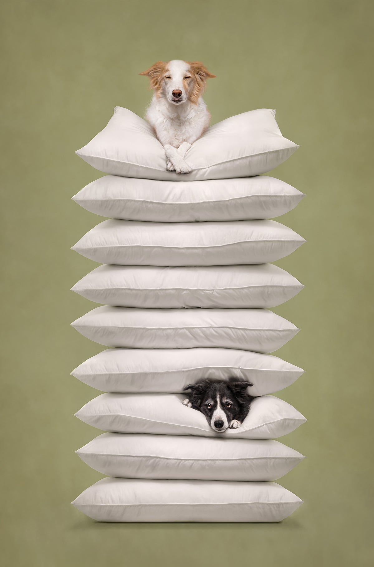 Prince and the Pea